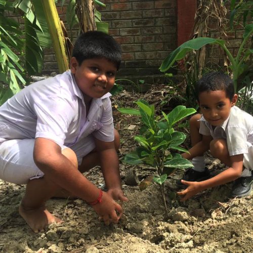 Greening Young Minds Greening Young Minds