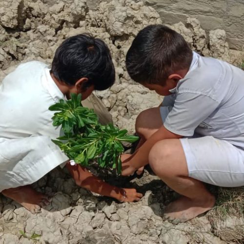 Greening Young Minds Greening Young Minds